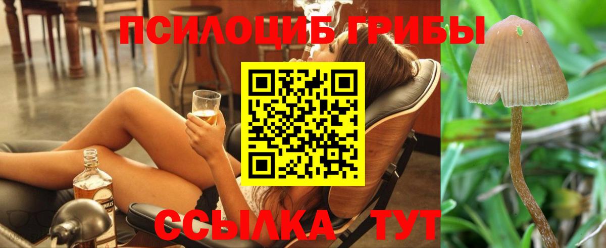 Галлюциногенные грибы MAGIC MUSHROOMS  Вход с VPN  дарнет шоп  Печора 